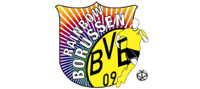 Logo - Rainbow Borussen